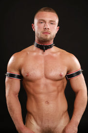 VARSITY DOG COLLAR