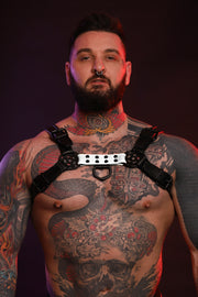 BEAST HARNESS