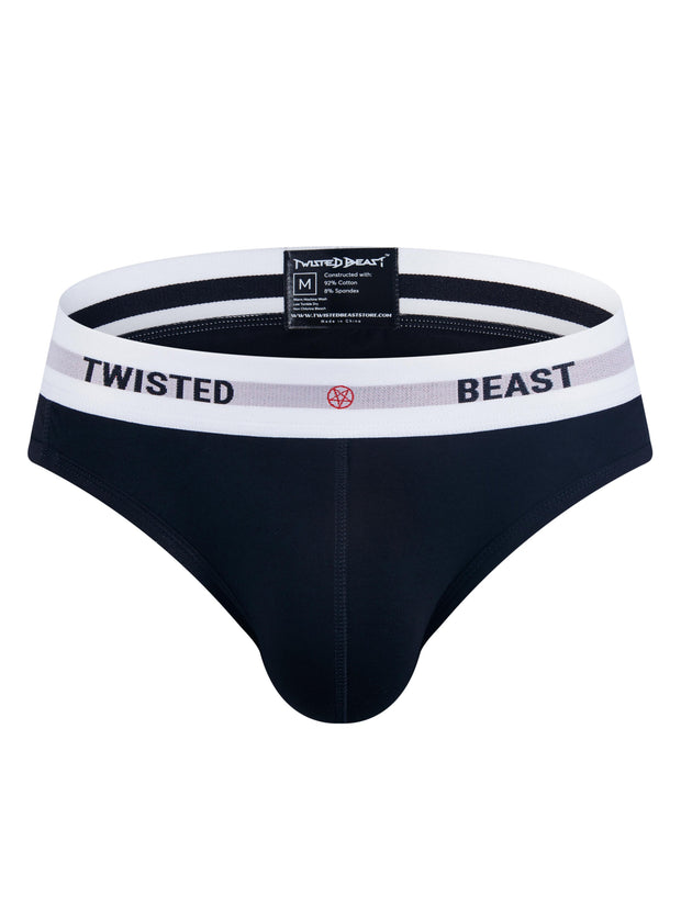 INSIGNIA BRIEF