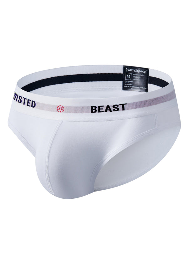 INSIGNIA BRIEF
