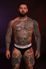 INSIGNIA BRIEF