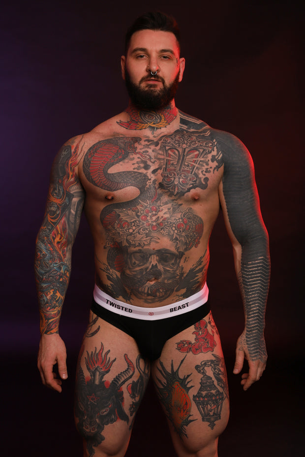 INSIGNIA BRIEF